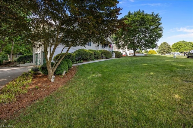 view of grassy yard