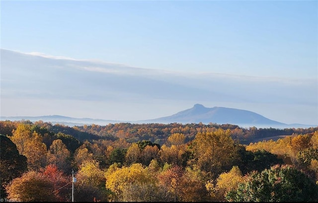 724-0 Tom Cook Rd, Pilot Mountain, NC 27041 - mountain view featuring a forest