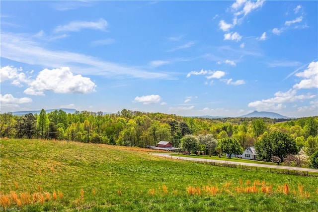 724-0 Tom Cook Rd, Pilot Mountain, NC 27041 - view of property's community featuring a wooded view and a mountain view