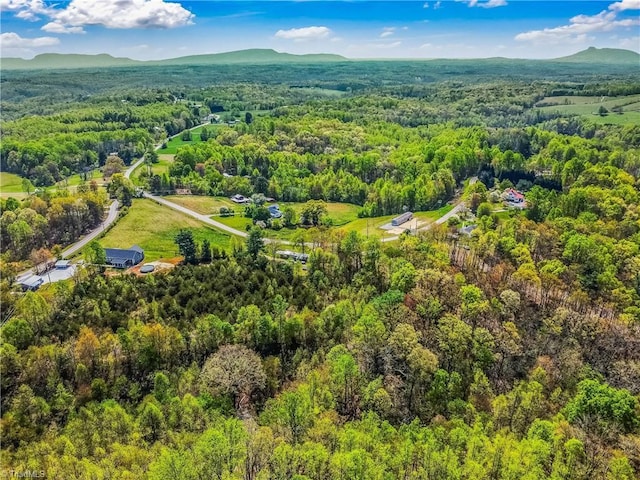 724-0 Tom Cook Rd, Pilot Mountain, NC 27041 - drone / aerial view of a mountainous background