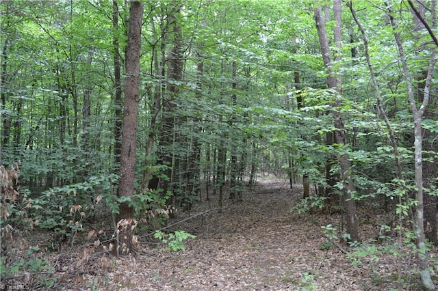 0 Aaron Ln, Madison NC, 27025 land for sale