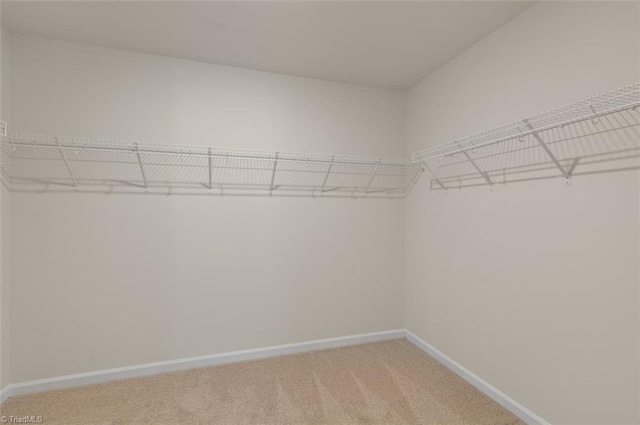 spacious closet with light colored carpet