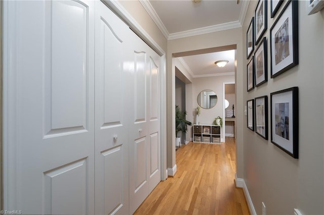 hall featuring light hardwood / wood-style flooring and crown molding