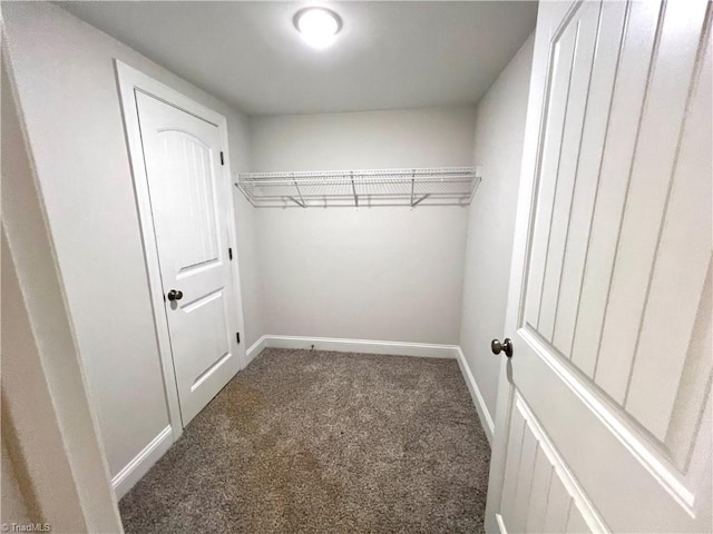 walk in closet featuring carpet floors