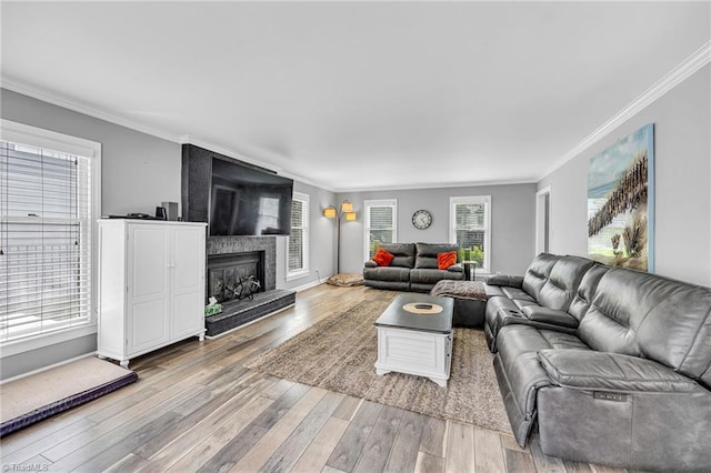 living room with a large fireplace, ornamental molding, and light wood-type flooring