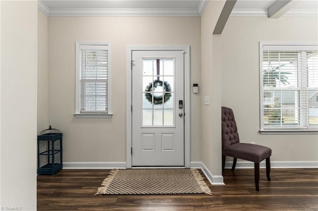 foyer entrance with crown molding, a healthy amount of sunlight, and dark hardwood / wood-style flooring