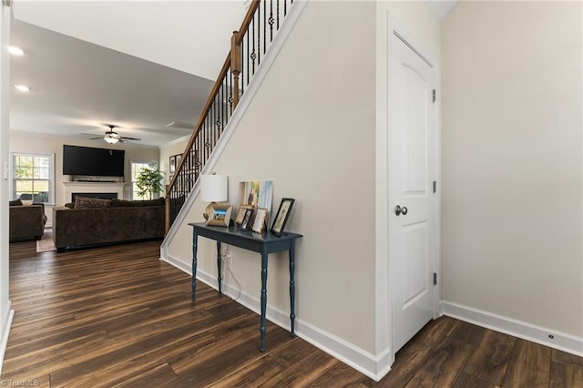 stairs featuring ceiling fan and wood-type flooring