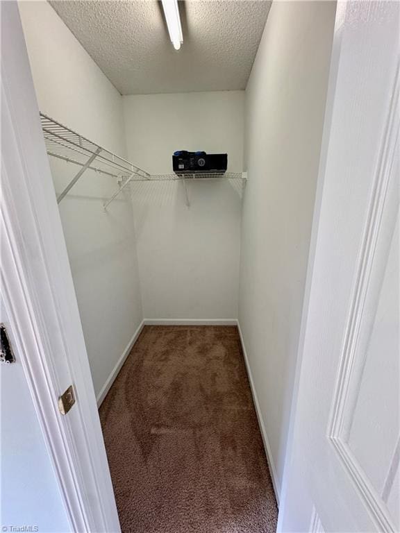 spacious closet featuring carpet