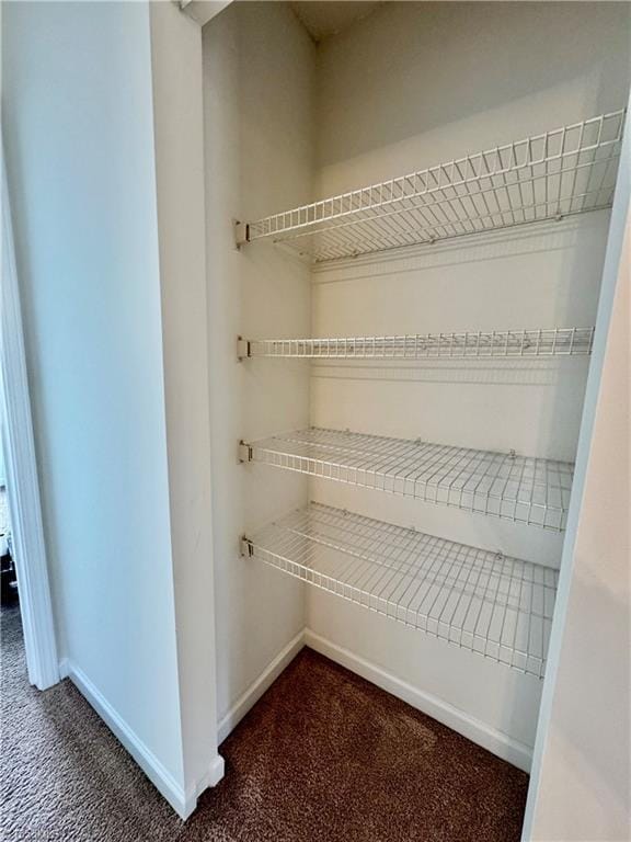 view of closet