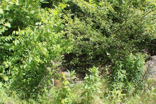 2289 W Pine St, Mount Airy, NC 27030 - view of undeveloped land