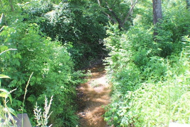 2289 W Pine St, Mount Airy, NC 27030 - view of nature