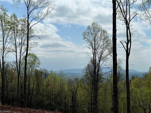 TBD Cox Rd, Mount Airy, NC 27030