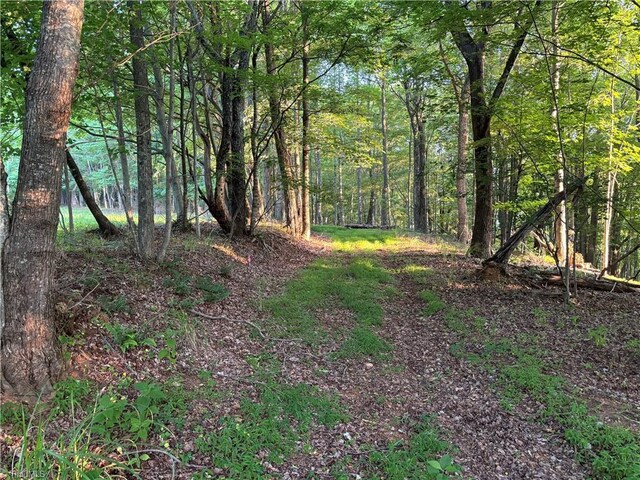 TBD Cox Rd, Mount Airy, NC 27030