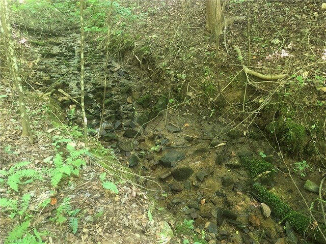 TBD Cox Rd, Mount Airy, NC 27030