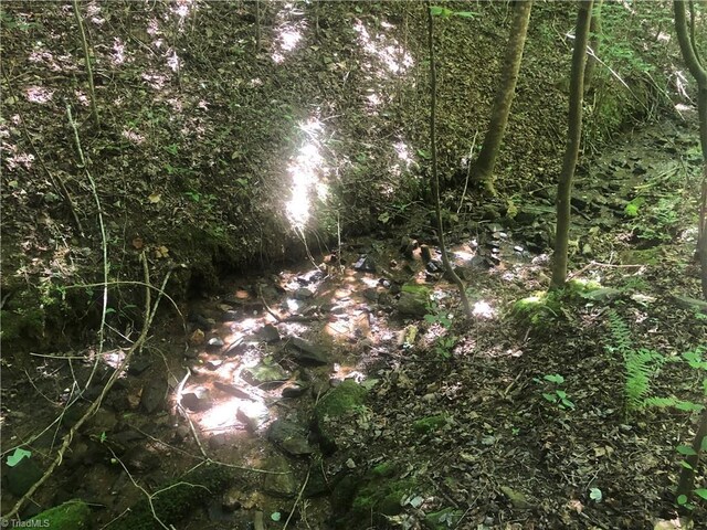 TBD Cox Rd, Mount Airy, NC 27030