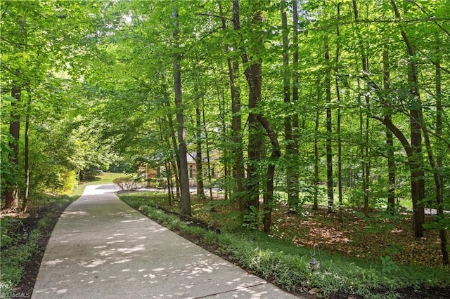 6303 Reata Ct, Summerfield, NC 27358 - view of home's community featuring a wooded view