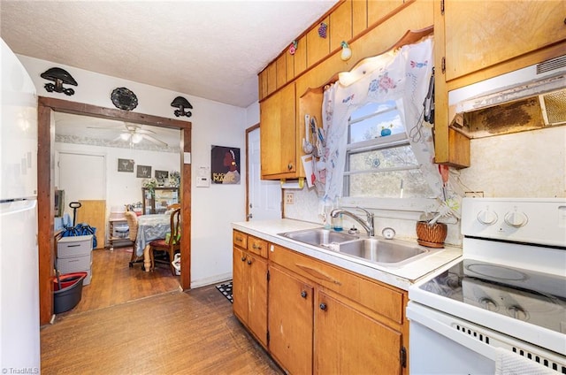 kitchen with white appliances, dark wood-type flooring, light countertops, under cabinet range hood, and a sink