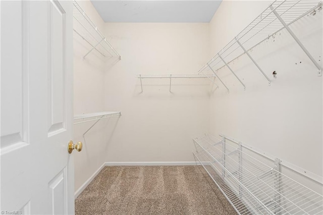 walk in closet with carpet