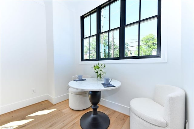 bathroom featuring a healthy amount of sunlight, baseboards, and wood finished floors
