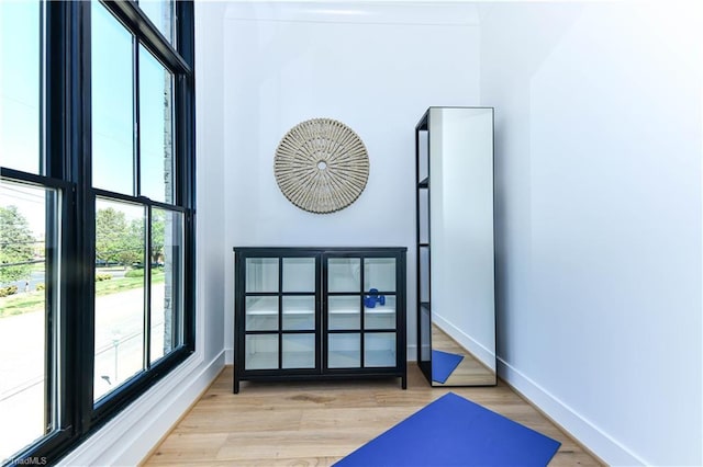 interior space featuring baseboards and wood finished floors