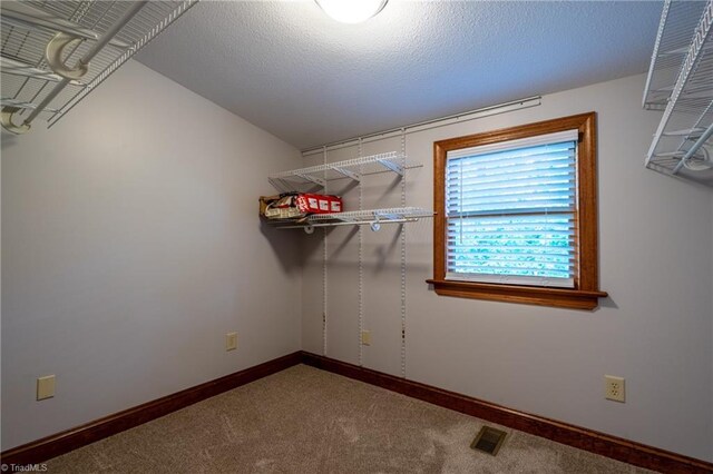 walk in closet with light colored carpet