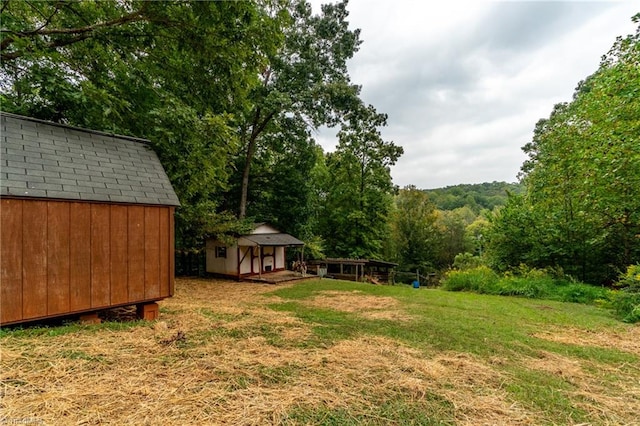 view of yard featuring a shed