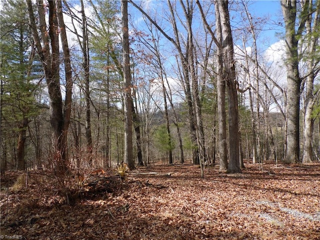 Listing photo 2 for TBD Happy Woods Rd, Grassy Creek NC 28631