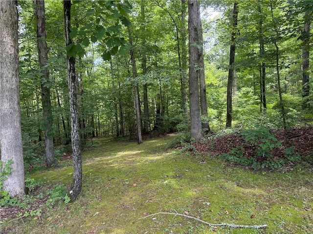 0 Deerwood Ln, Trinity, NC 27370