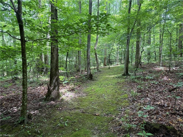 0 Deerwood Ln, Trinity, NC 27370