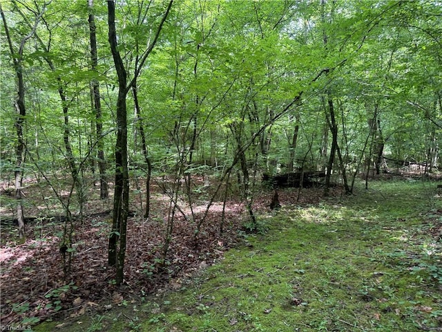 0 Deerwood Ln, Trinity, NC 27370
