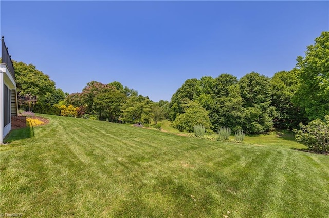 153 Montauk Ct, Clemmons, NC 27012 - view of grassy yard with a wooded view