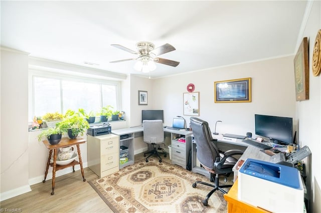 144 Collins Rd, Sparta, NC 28675 - office area featuring ceiling fan, crown molding, and light hardwood / wood-style floors