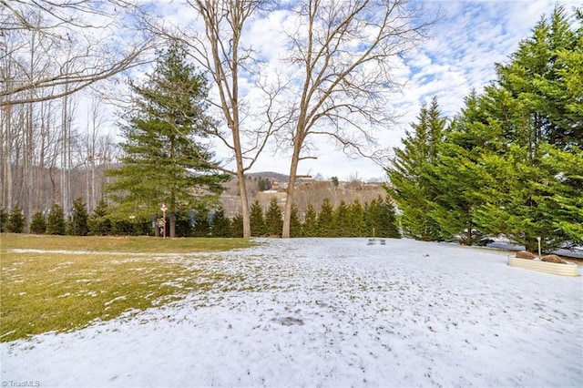 144 Collins Rd, Sparta, NC 28675 - view of yard covered in snow