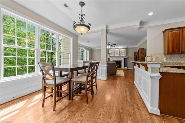 dining space featuring visible vents, crown molding, light wood-style floors, a fireplace with raised hearth, and a ceiling fan