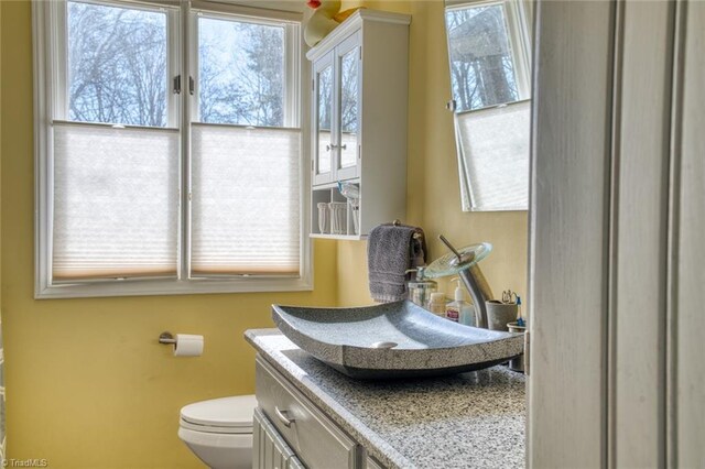 half bath with plenty of natural light, toilet, and vanity