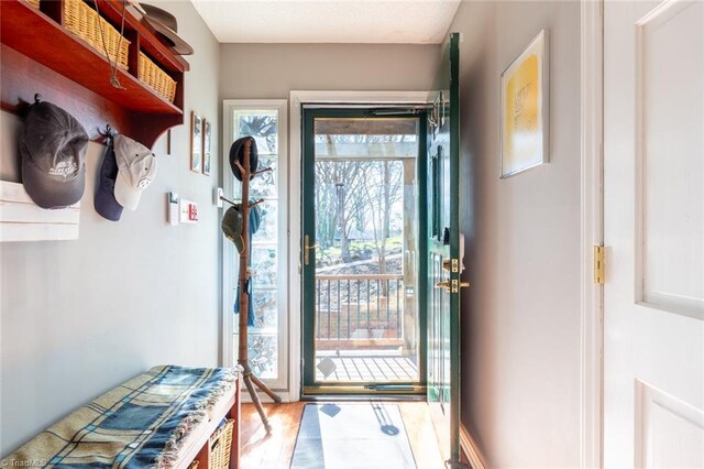 entryway with wood finished floors