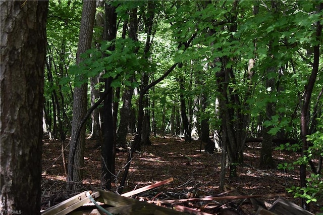 200 Englewood Trl, Mount Airy, NC 27030 - view of undeveloped land