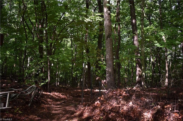 200 Englewood Trl, Mount Airy, NC 27030 - view of tree filled area