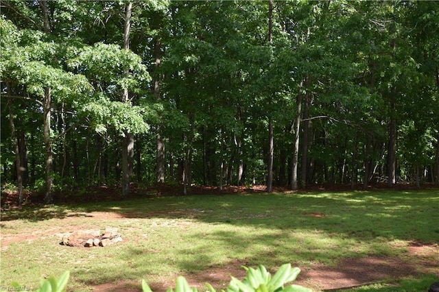 200 Englewood Trl, Mount Airy, NC 27030 - view of green lawn