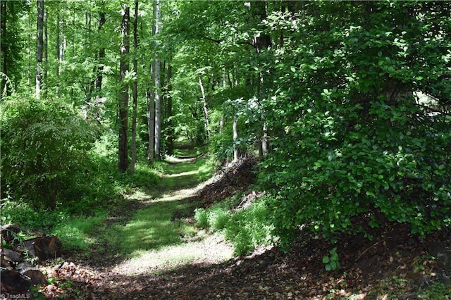 200 Englewood Trl, Mount Airy, NC 27030 - view of nature