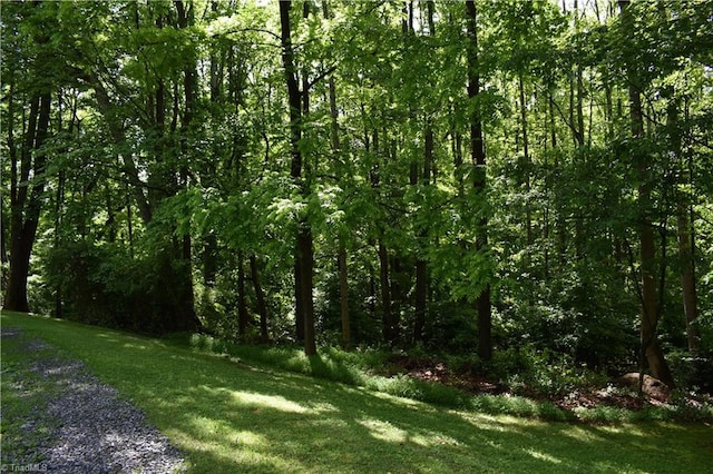 200 Englewood Trl, Mount Airy, NC 27030 - view of grassy yard featuring a forest view