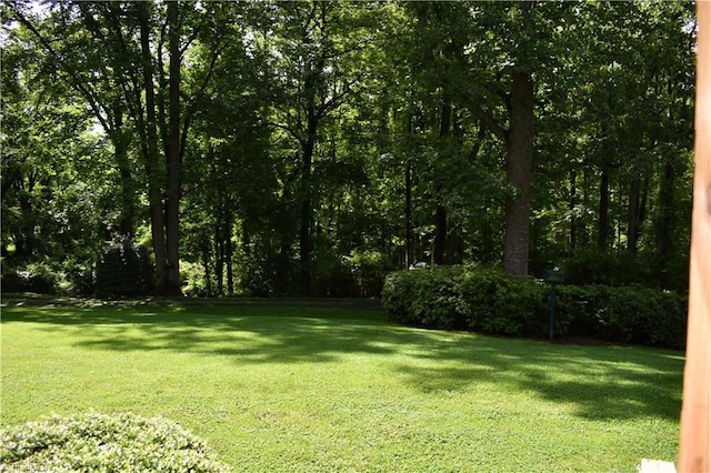 200 Englewood Trl, Mount Airy, NC 27030 - view of grassy yard