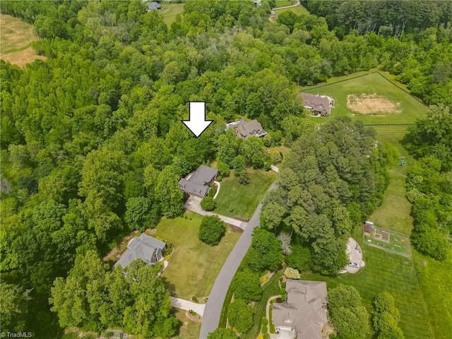 bird's eye view of a forest