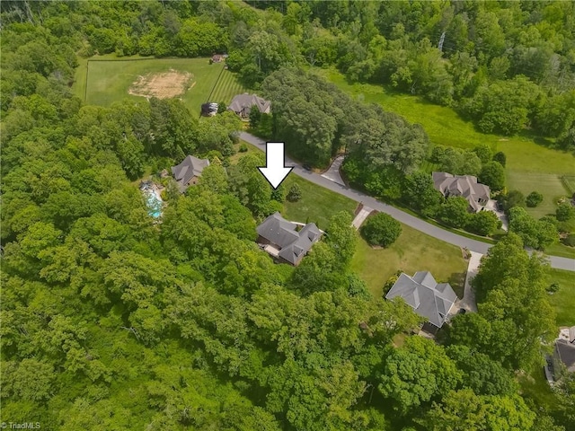 aerial view