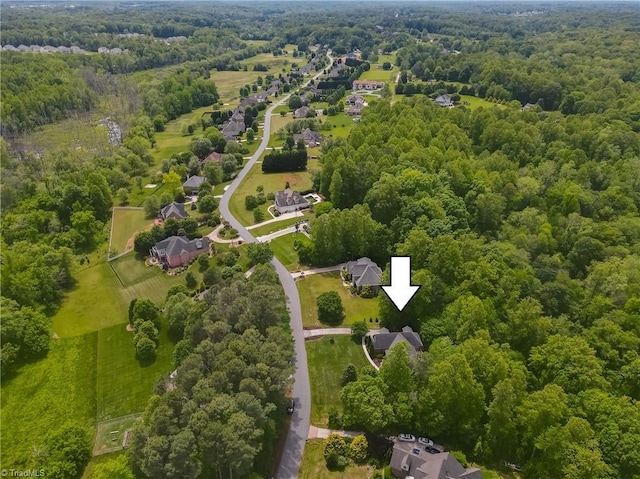 bird's eye view of a forest