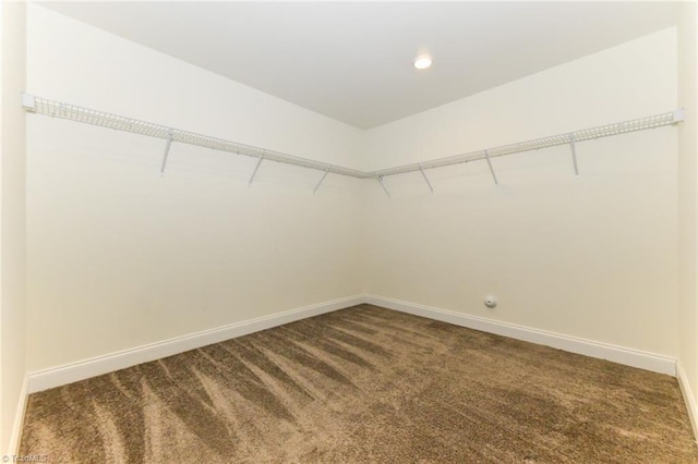 walk in closet with dark carpet