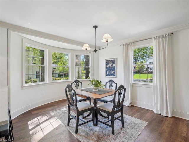 511 Circle Dr, Burlington, NC 27215 - dining space with dark wood-type flooring, ornamental molding, baseboards, and plenty of natural light