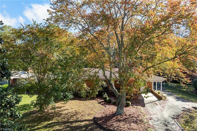 view of property hidden behind natural elements featuring a front yard