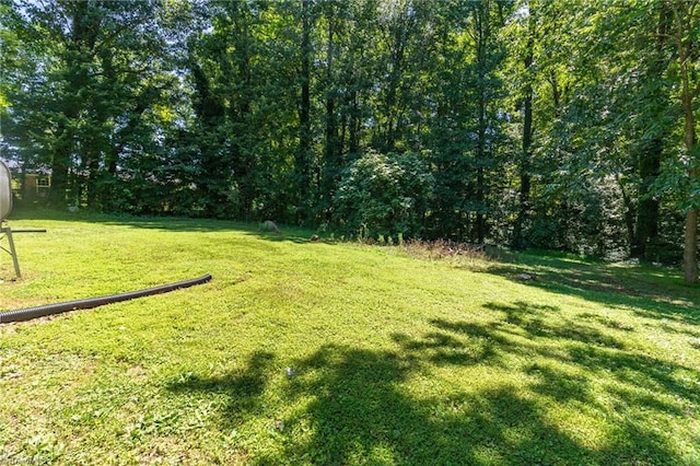 4126 Old Way Rd, Sophia, NC 27350 - view of green lawn