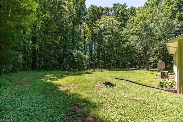 4126 Old Way Rd, Sophia, NC 27350 - view of grassy yard with a forest view